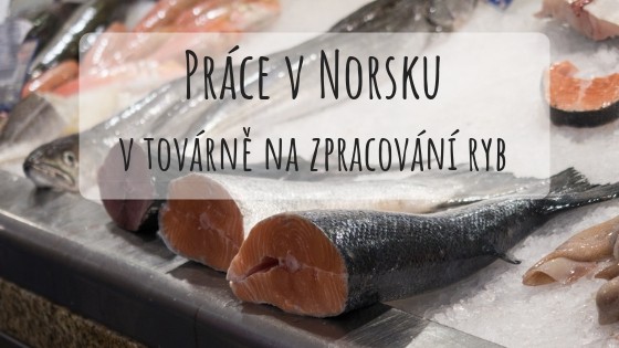 Práce v Norsku v rybím průmyslu: Život na ostrově Frøya