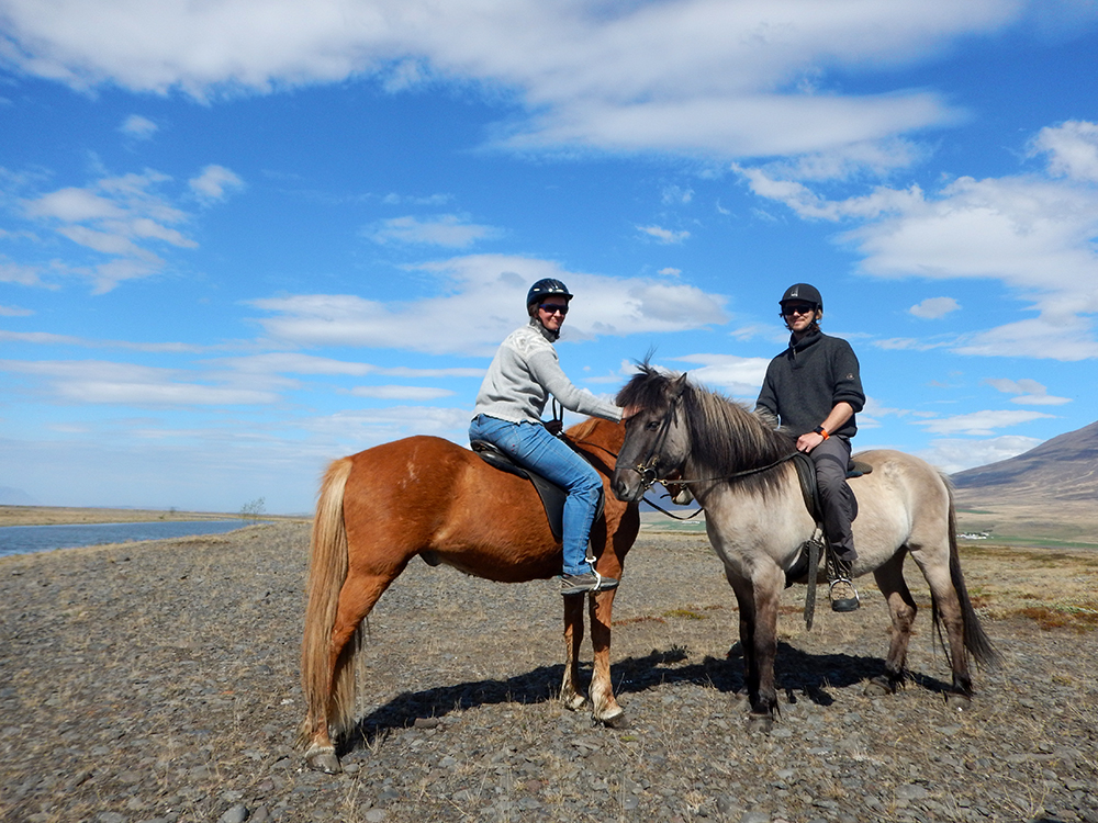 islandští koně Hestasport ve Varmahlid