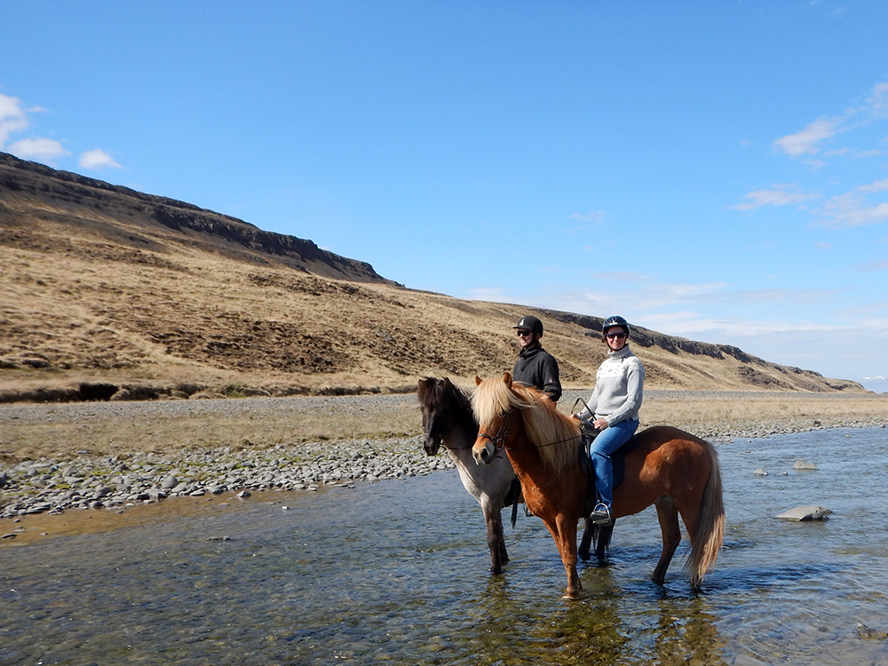 Koně na Islandu_Icelandic horses_Hestasport_Varmahlid_river