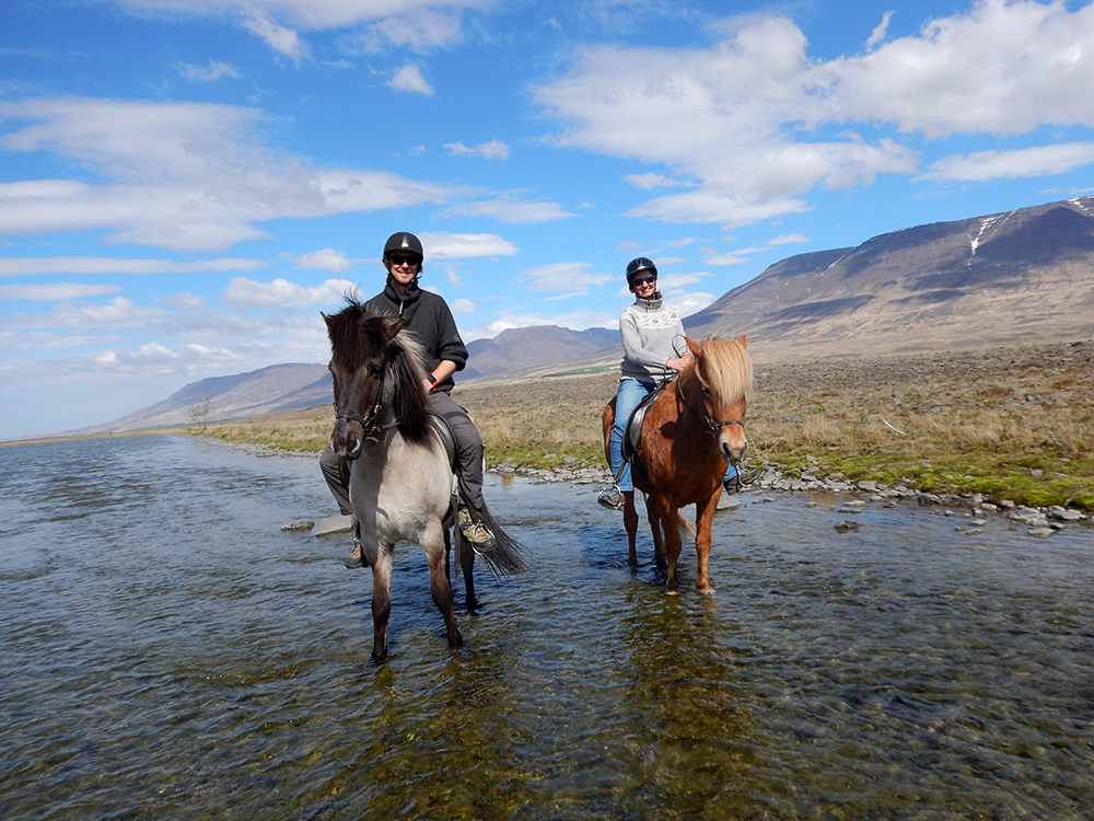 Koně na Islandu_Icelandic horses_Hestasport_Varmahlid