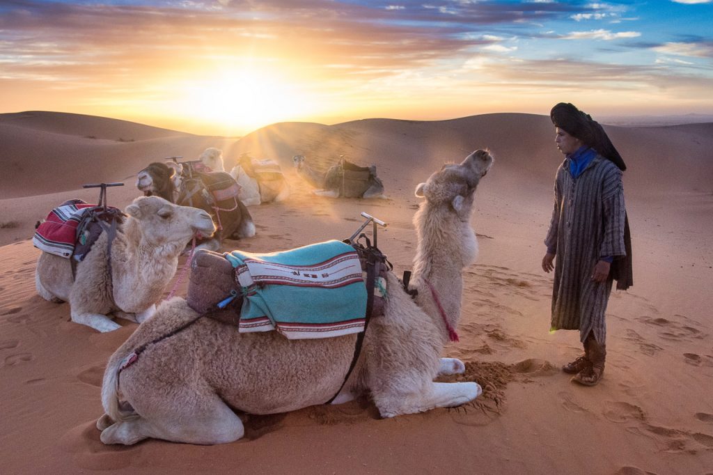 etická vyjížďka na velbloudech v marocké poušti Erg Chebbi