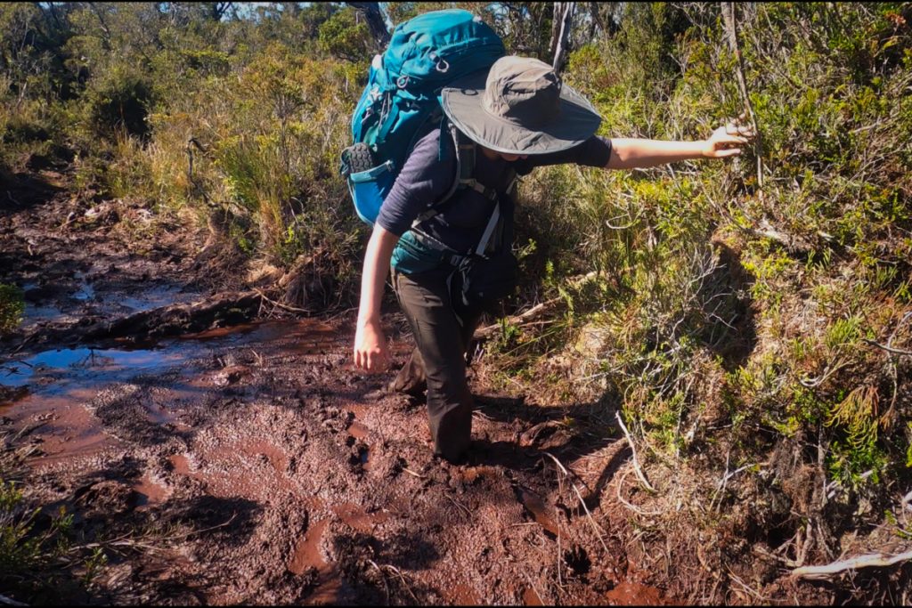 Test voděodolných ponožek Bridgedale při treku v národním parku Tantauco v Chile