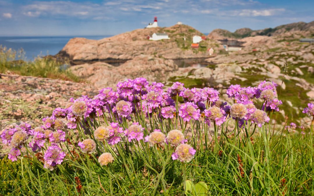 Krásy jižního pobřeží Norska aneb co nevynechat cestou na Preikestolen