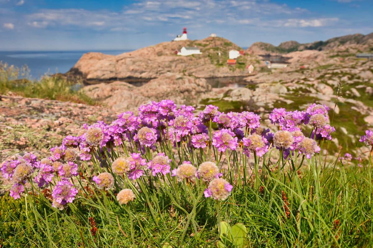 Krásy jižního pobřeží Norska aneb co nevynechat cestou na Preikestolen