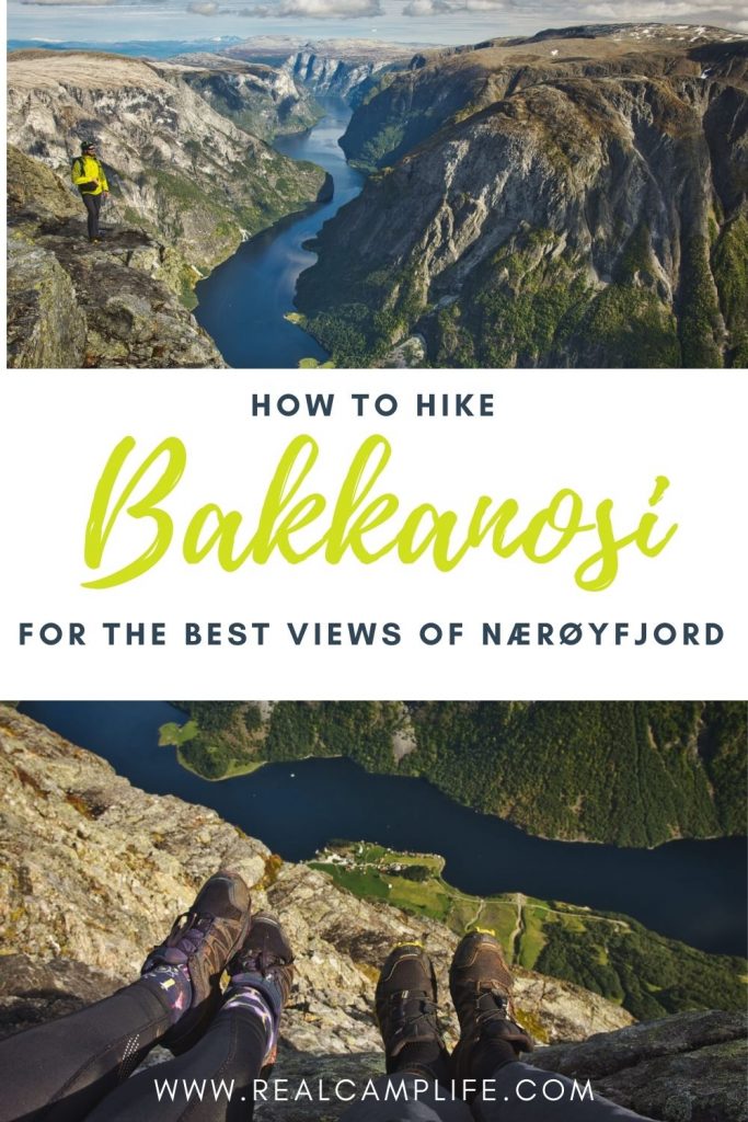 Hiking to Bakkanosi in Fjord Norway PIN 1