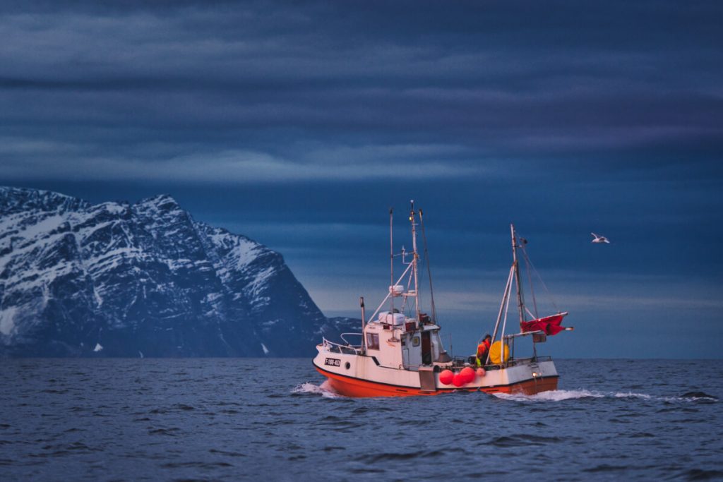 velrybí safari na severu Norska